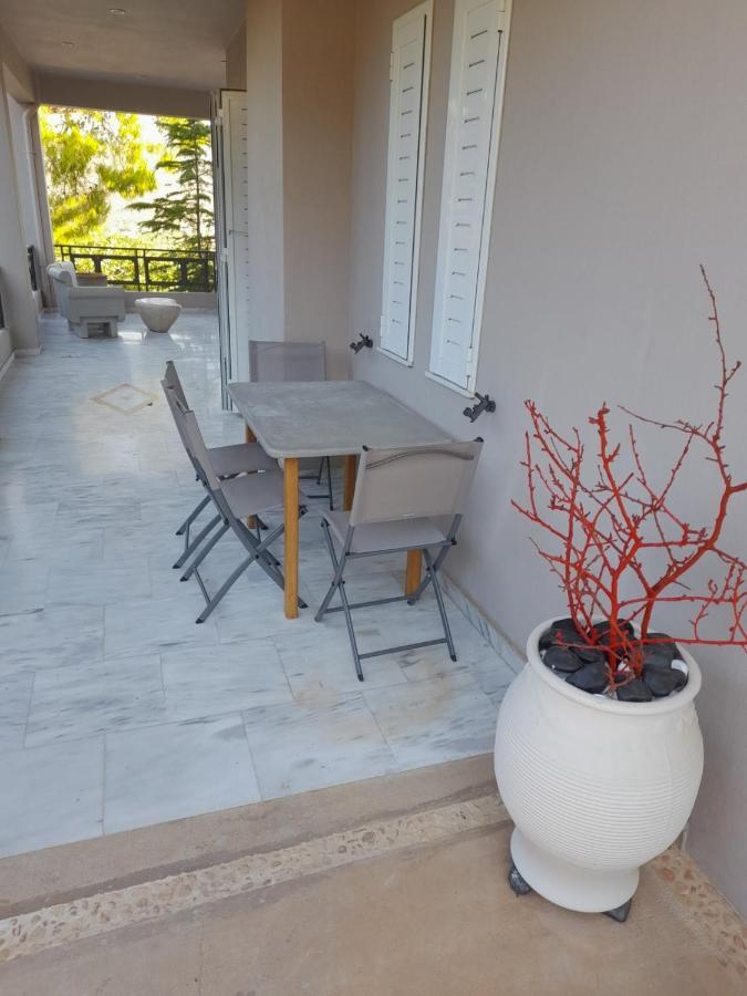 Suite With Garden Agia Marina  Екстер'єр фото